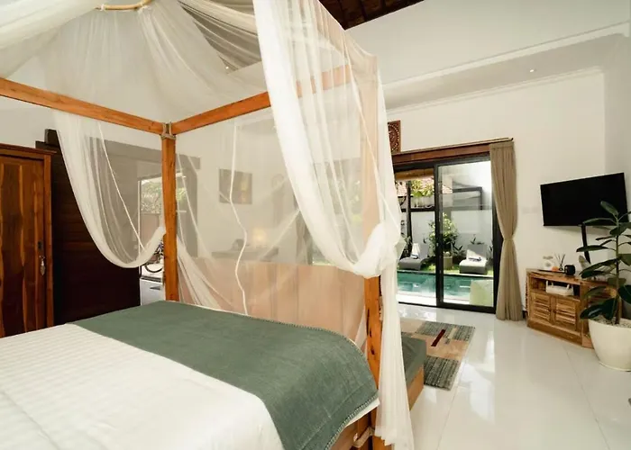 Chintana - Tropical Lush Landscapes, And Serene Atmospheres サヌール